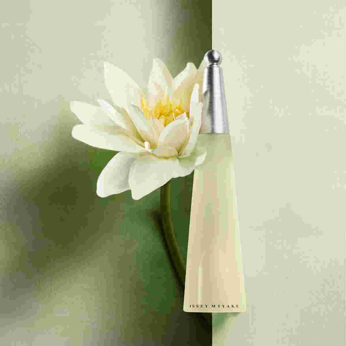 Nước Hoa Nữ Issey Miyake L'Eau D'Issey EDT 50ml