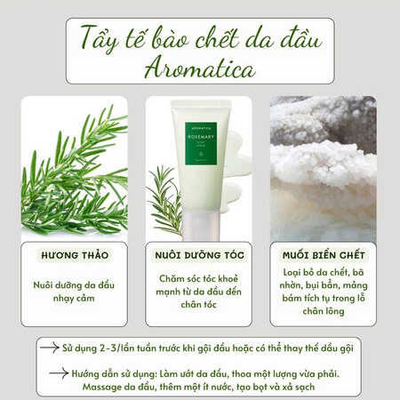 Muối Tẩy Tế Bào Chết Da Đầu Aromatica Từ Hương Thảo (Rosemary Scalp Scrub) 165g