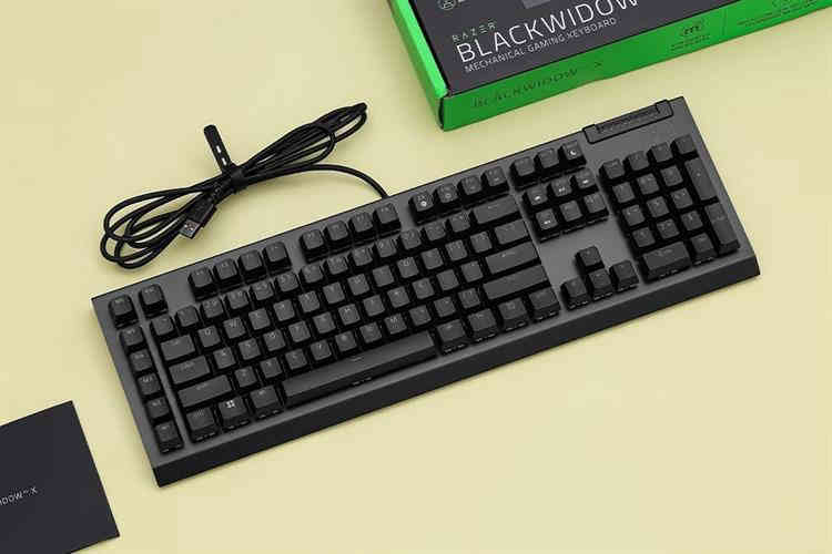 Bàn Phím Cơ Có Dây Gaming Razer BlackWidow V4 X Green Switch