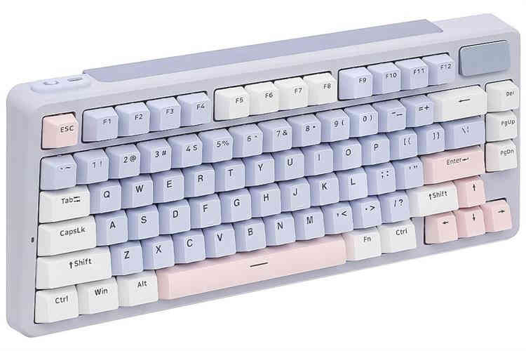 Bàn Phím Cơ Bluetooth Rapoo V700DIY 75