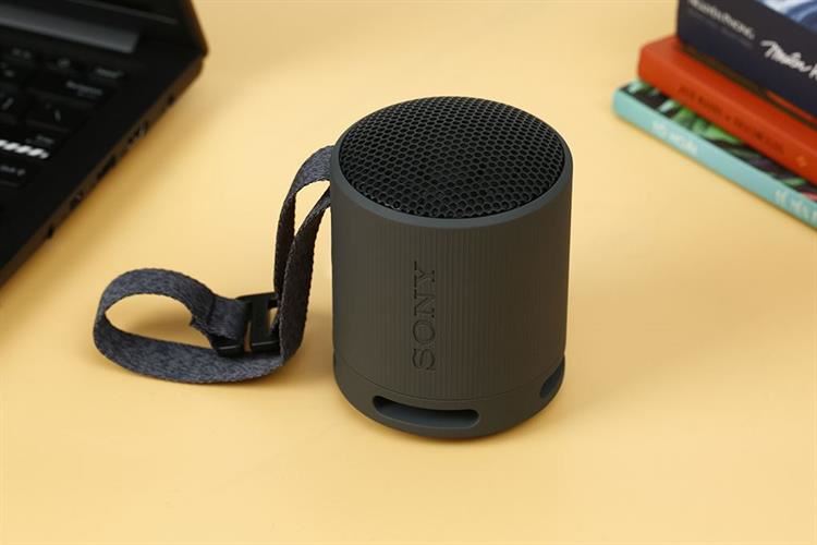 Loa Bluetooth Sony SRS-XB100