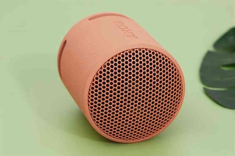 Loa Bluetooth Sony SRS-XB100