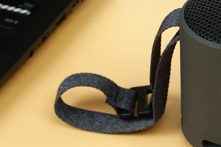 Loa Bluetooth Sony SRS-XB100