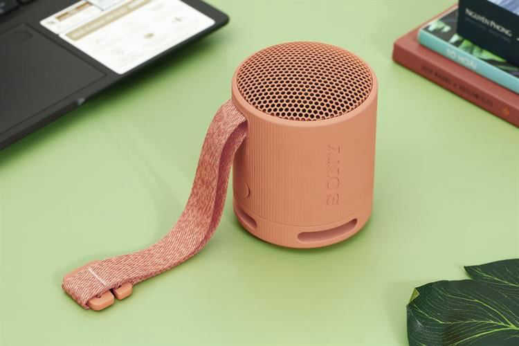 Loa Bluetooth Sony SRS-XB100