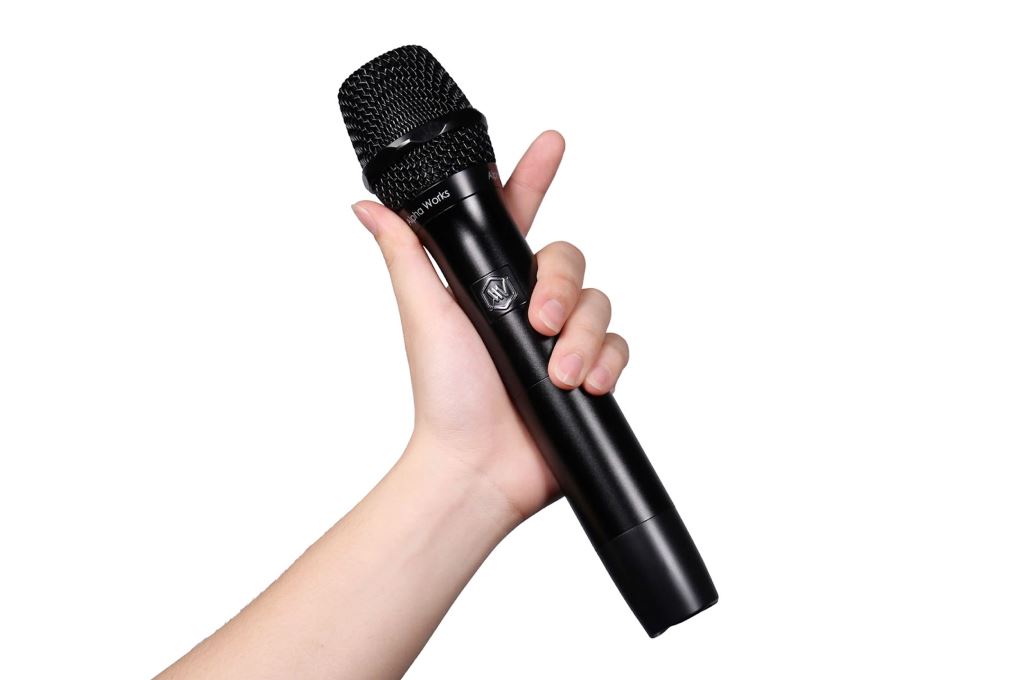 Cặp micro không dây Alpha Works D2