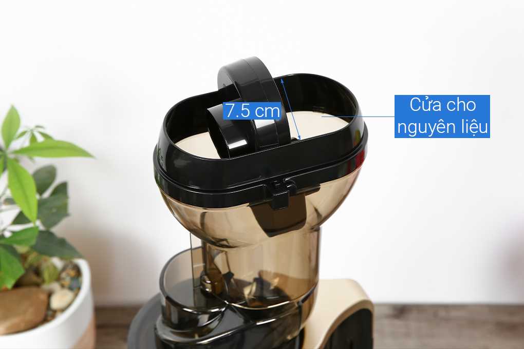 Máy ép chậm Ferroli FSJ-200M