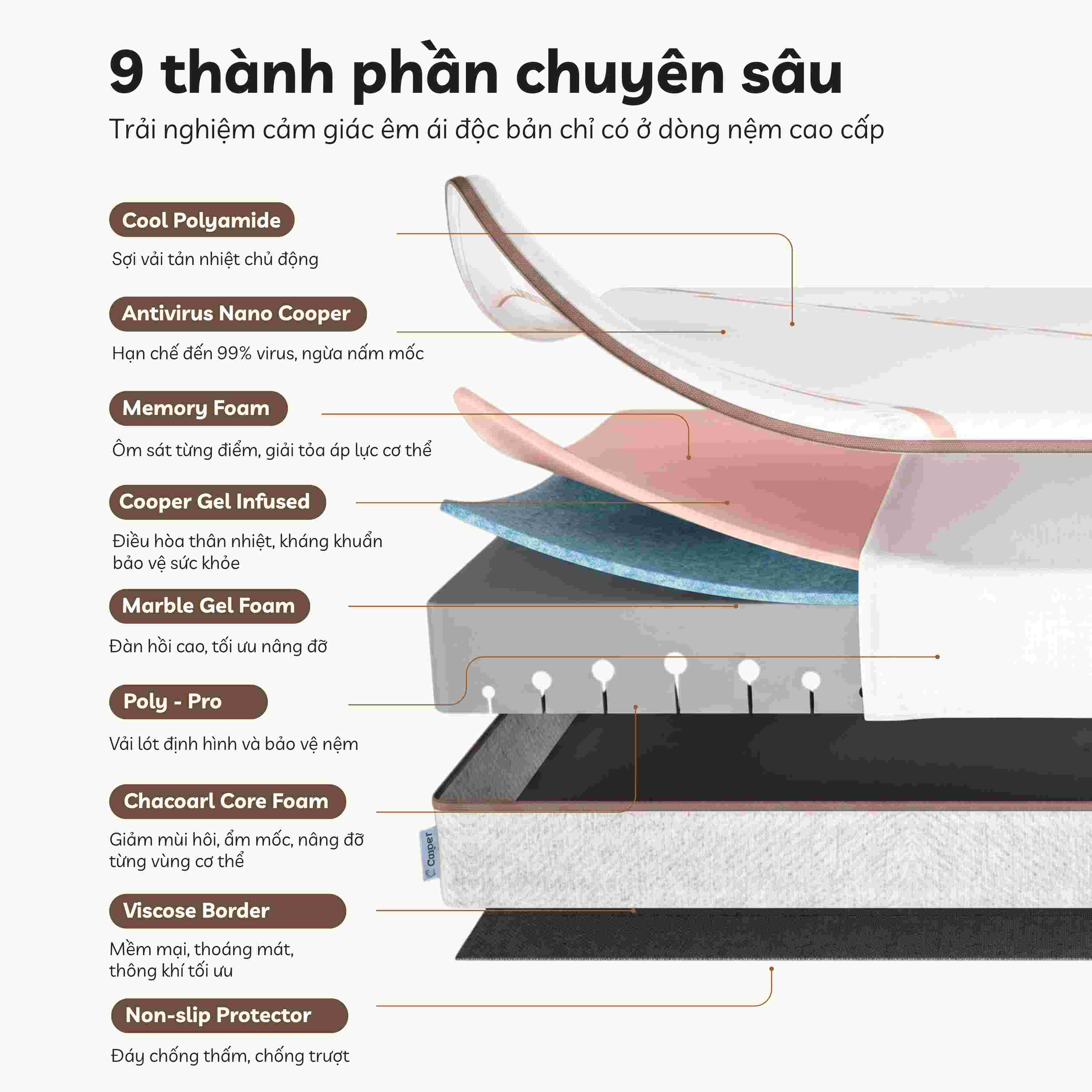 Nệm foam Comfy Lux 1.0 20cm