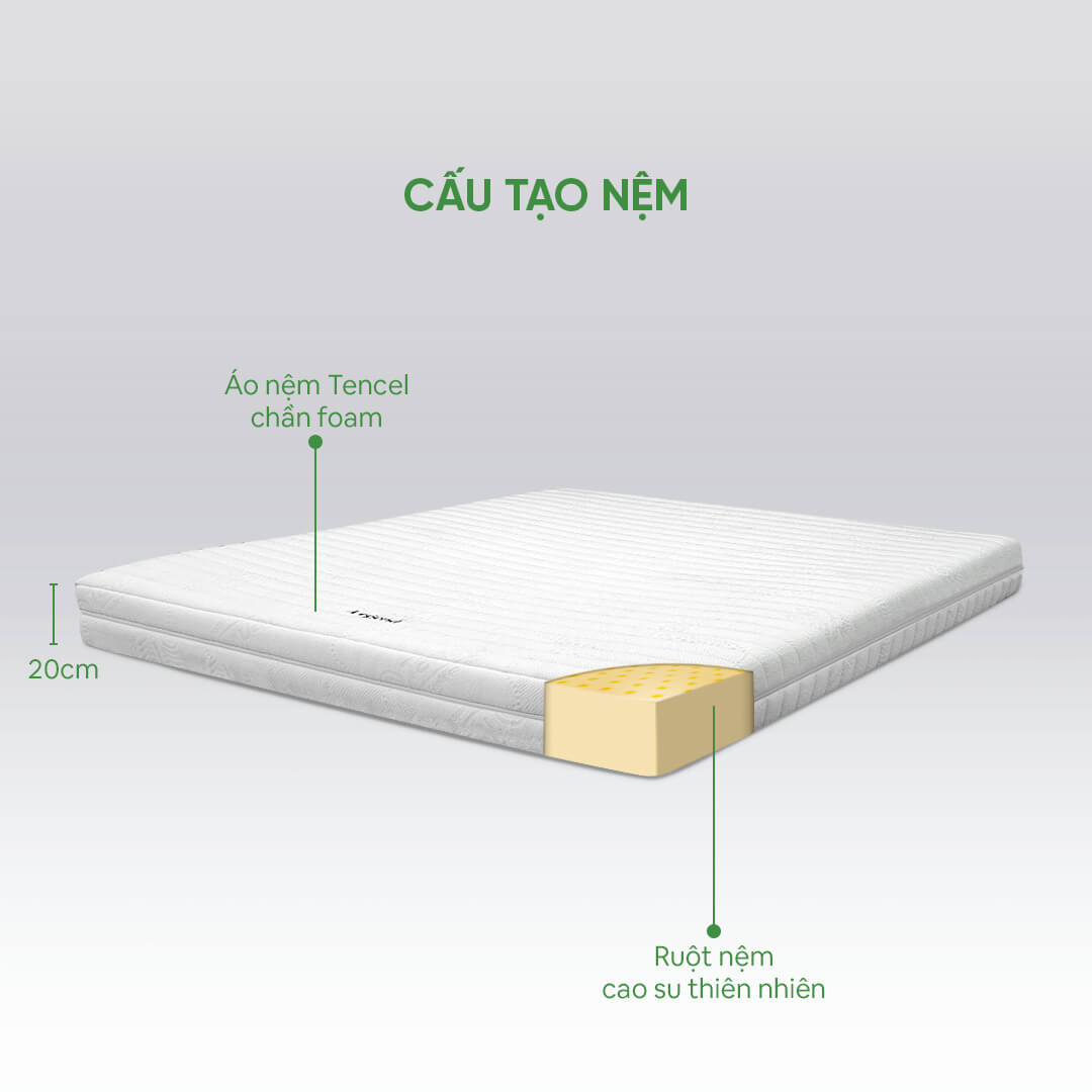 Nệm cao su Gummi Legend 20cm