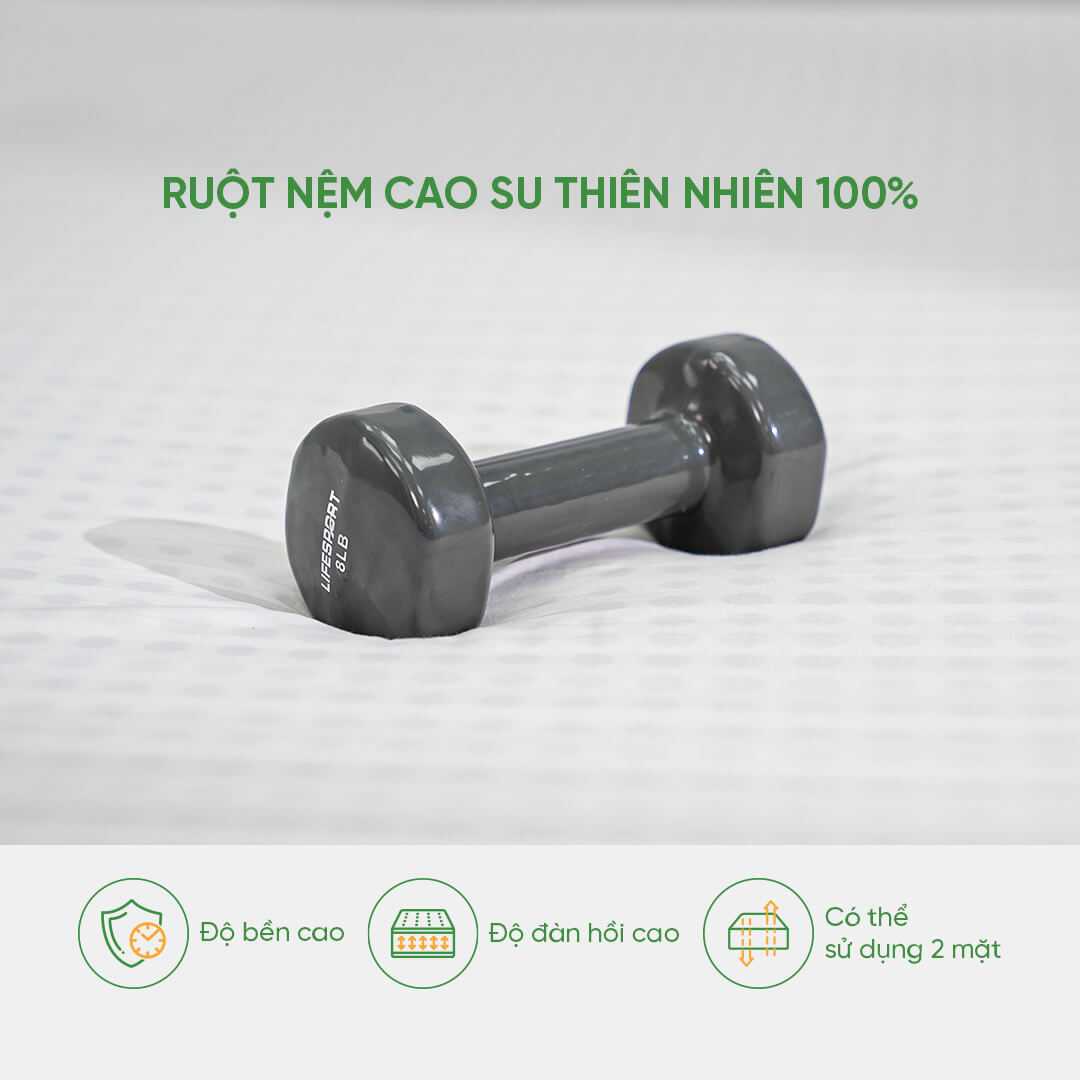 Nệm cao su Gummi Legend 20cm
