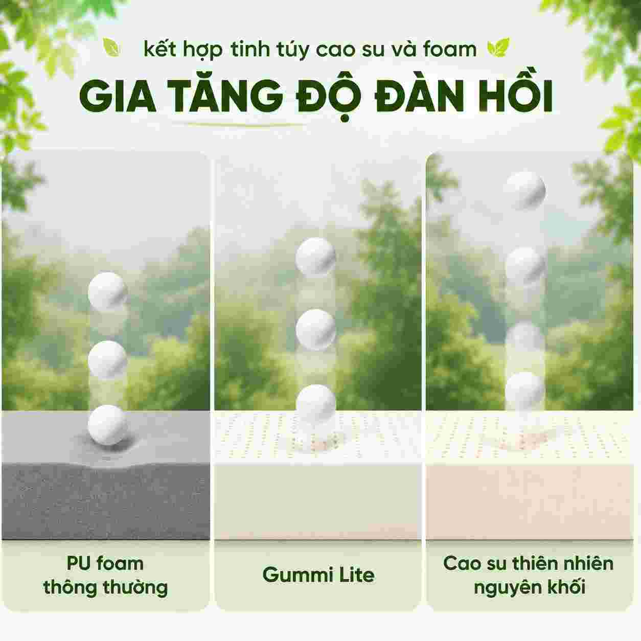 Nệm cao su Gummi Lite 10cm