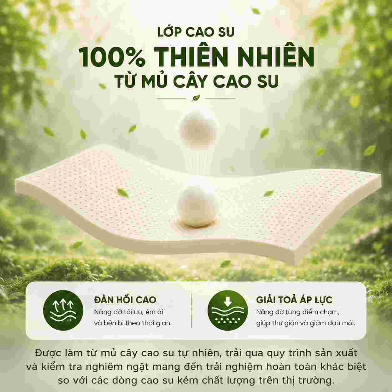 Nệm cao su Gummi Lite 10cm