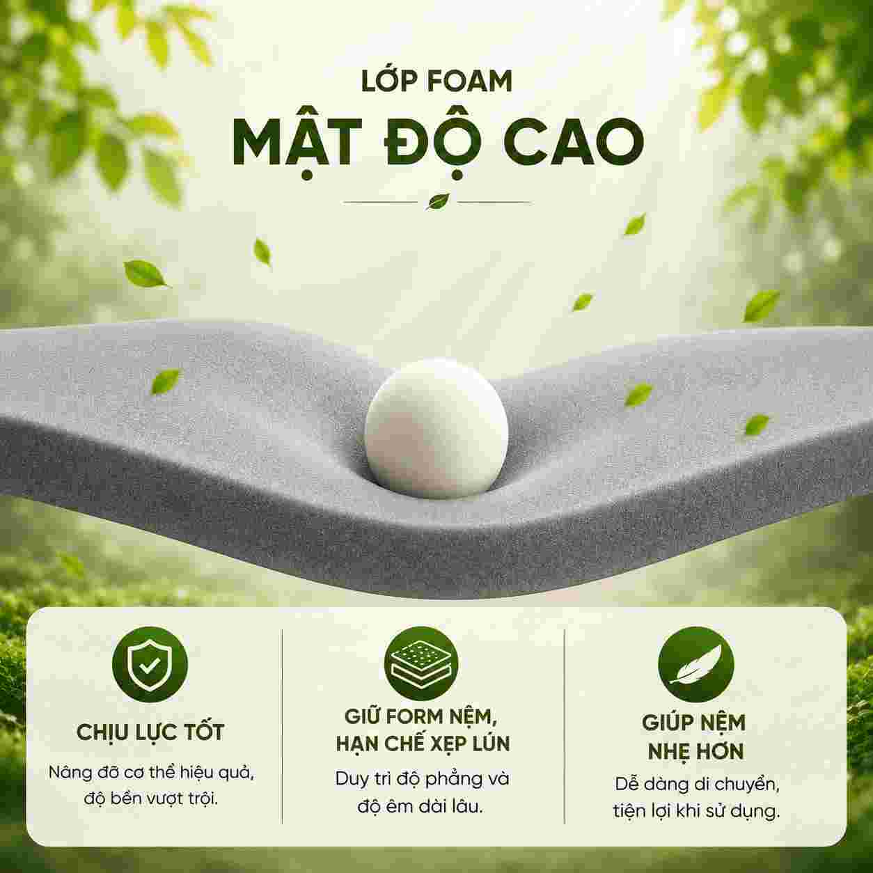 Nệm cao su Gummi Lite 10cm