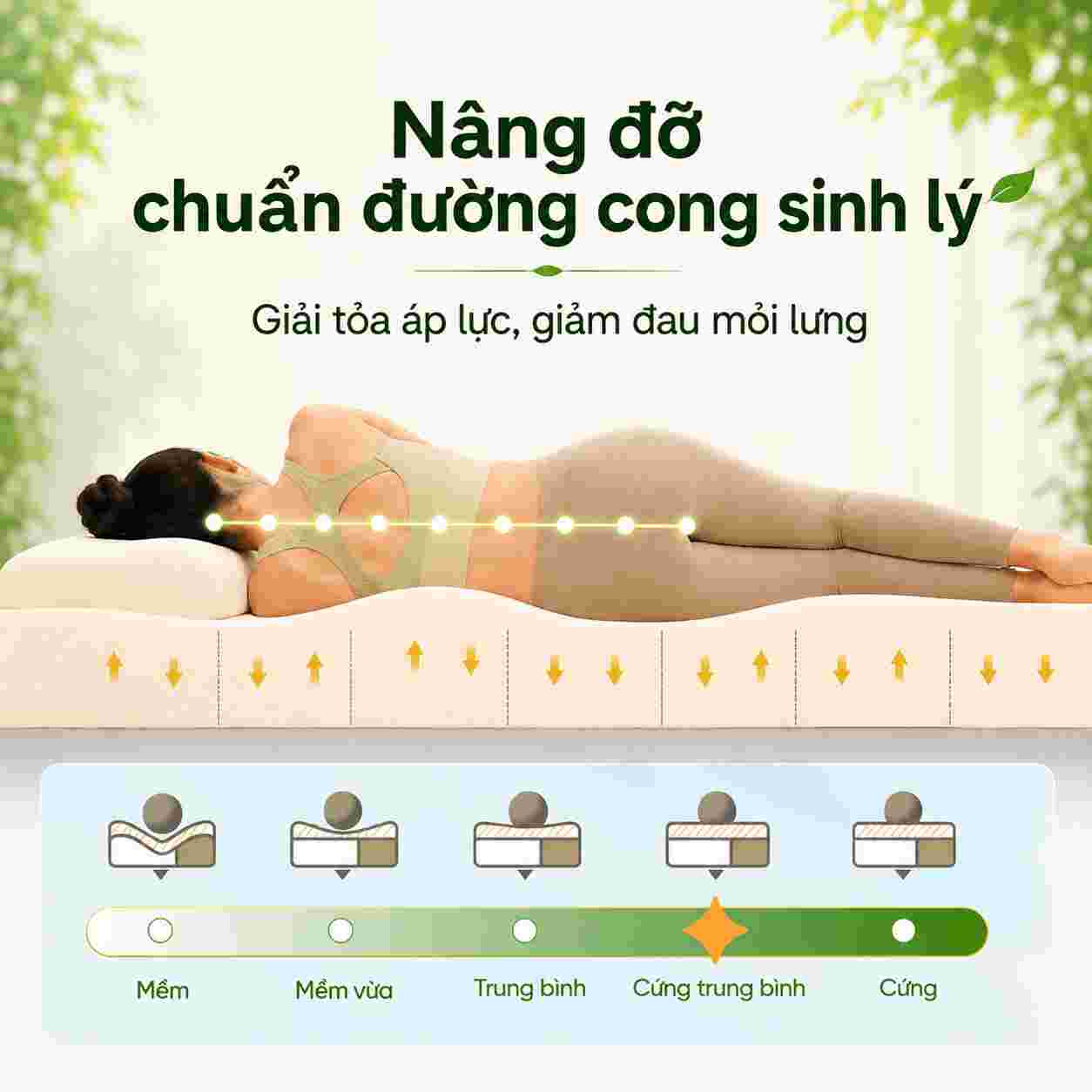 Nệm cao su thiên nhiên Gummi Classic thế hệ mới dày 5cm