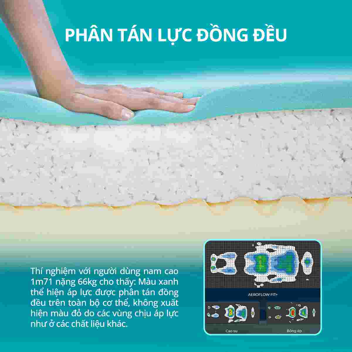 Nệm foam Aeroflow Fit Plus Nhật Bản kháng khuẩn