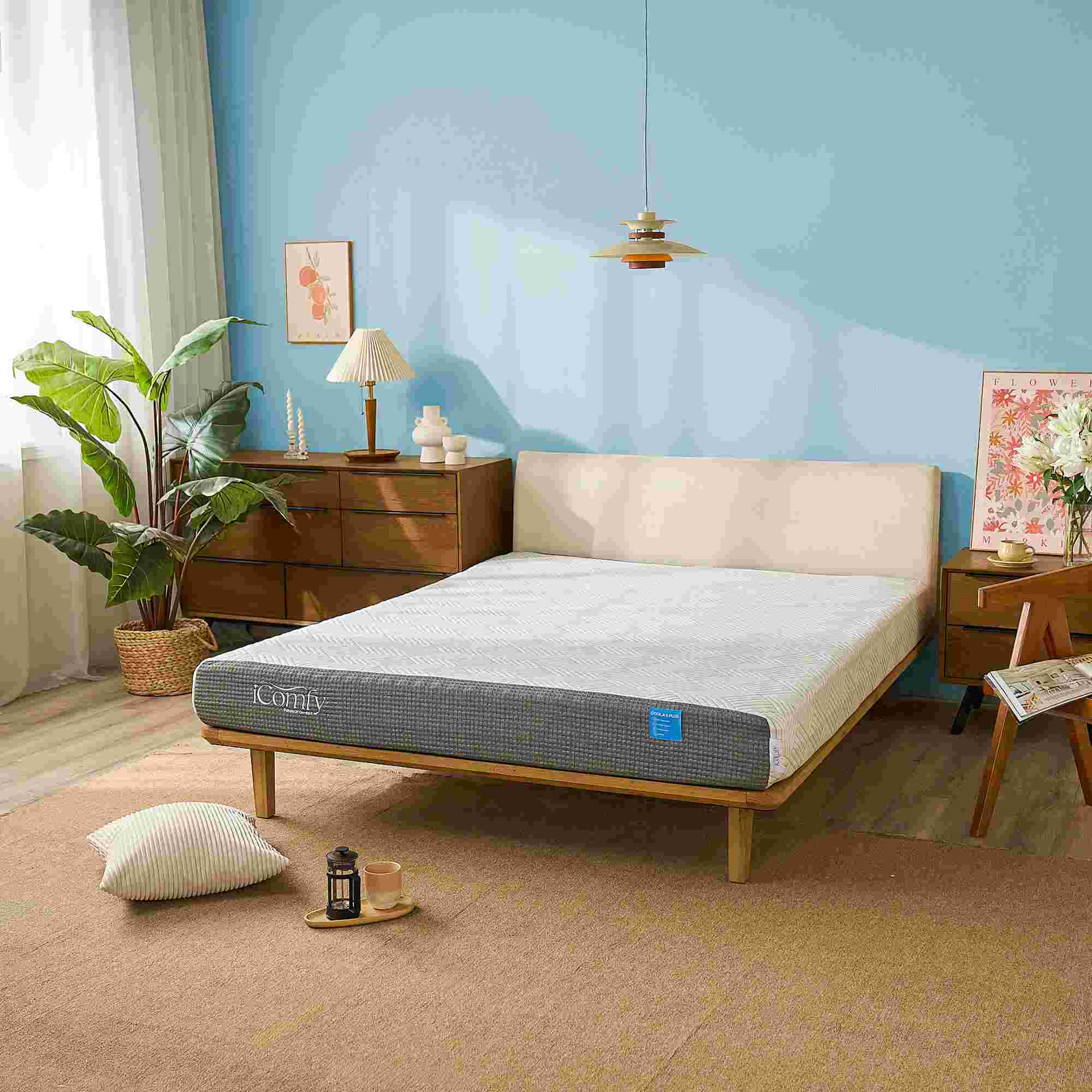 Nệm foam iComfy Coolax Plus 20cm