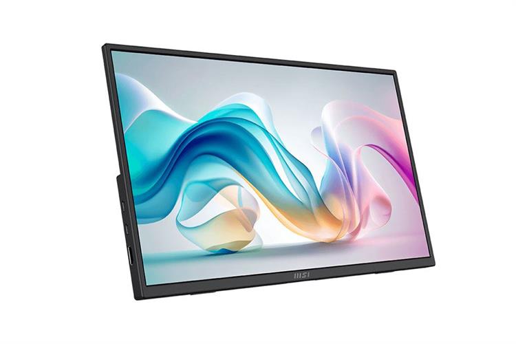 Màn hình di động MSI PRO MP165 E6