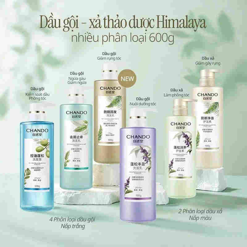 Dầu Xả Chando Cấp Ẩm Và Làm Phồng Tóc 600ml