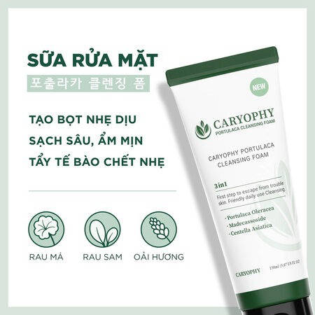 Sữa Rửa Mặt Caryophy Ngăn Ngừa Mụn Giảm Thâm (Portulaca Cleansing Foam) 150ml