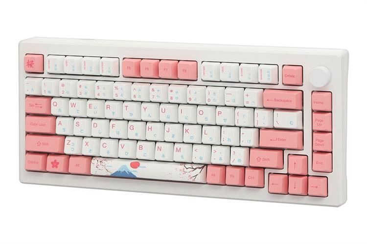 Bàn Phím Cơ Bluetooth Akko MOD007B-HE PC Tokyo Sakura Pink Magnetic Switch