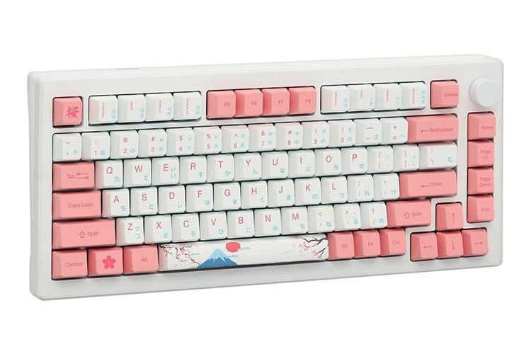Bàn Phím Cơ Bluetooth Akko MOD007B-HE PC Tokyo Sakura Pink Magnetic Switch