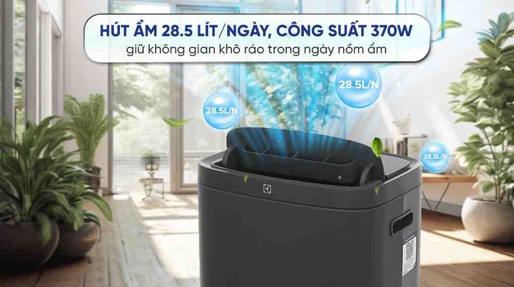Máy hút ẩm kết hợp lọc không khí Electrolux EDH16TRBD3
