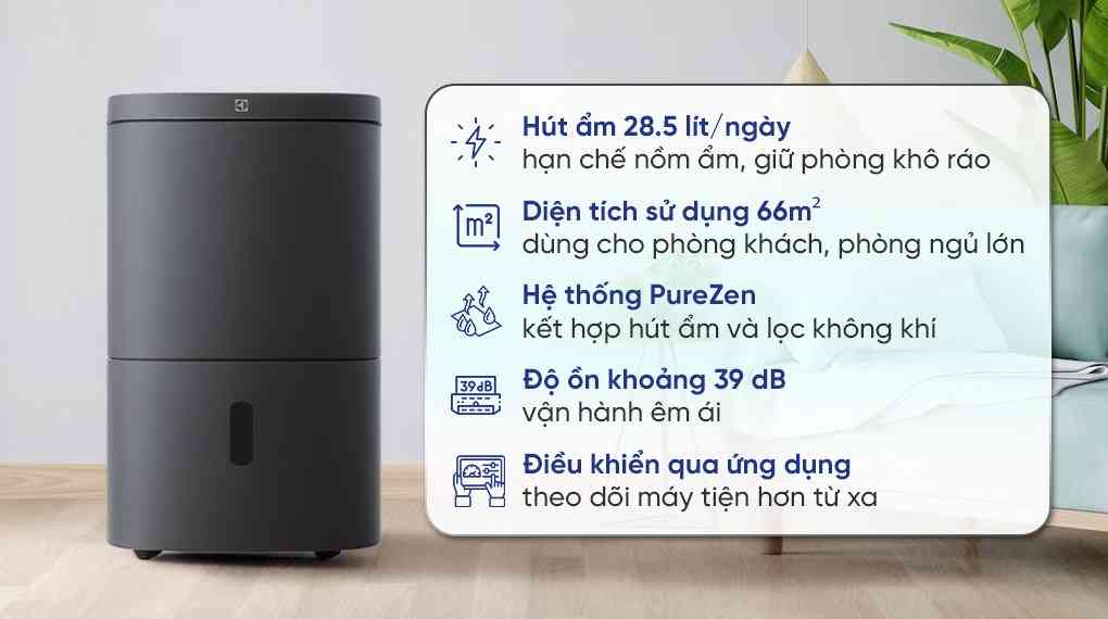 Máy hút ẩm kết hợp lọc không khí Electrolux EDH16TRBD3