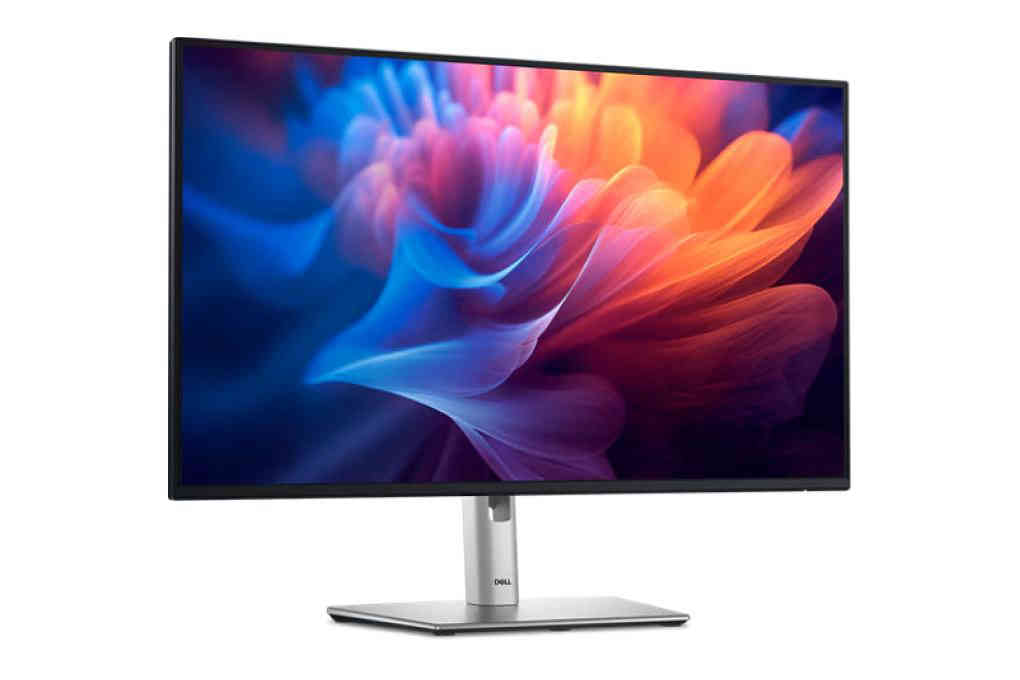 Dell P2425H