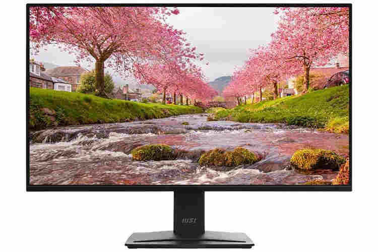 MSI PRO MP251 E2