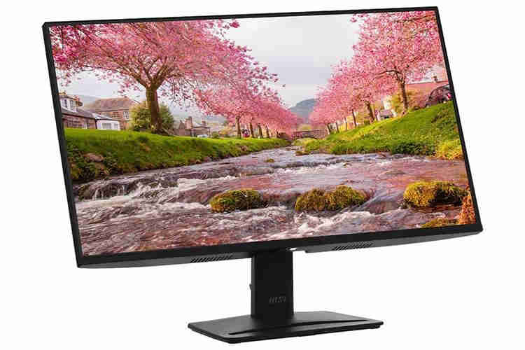 MSI PRO MP251 E2