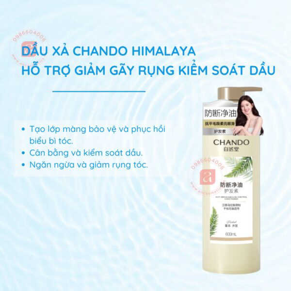 Dầu Gội Chando Ngăn Ngừa Gãy Rụng, Dưỡng Tóc Chắc Khỏe 600ml